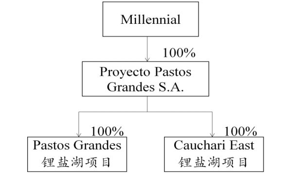 赣锋锂业,锂资源,盐湖,锂盐