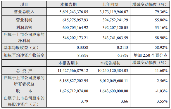 横店东磁报表