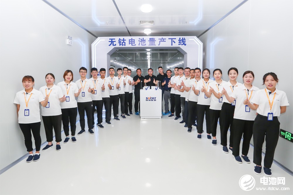 无钴电池,蜂巢能源,锂电池