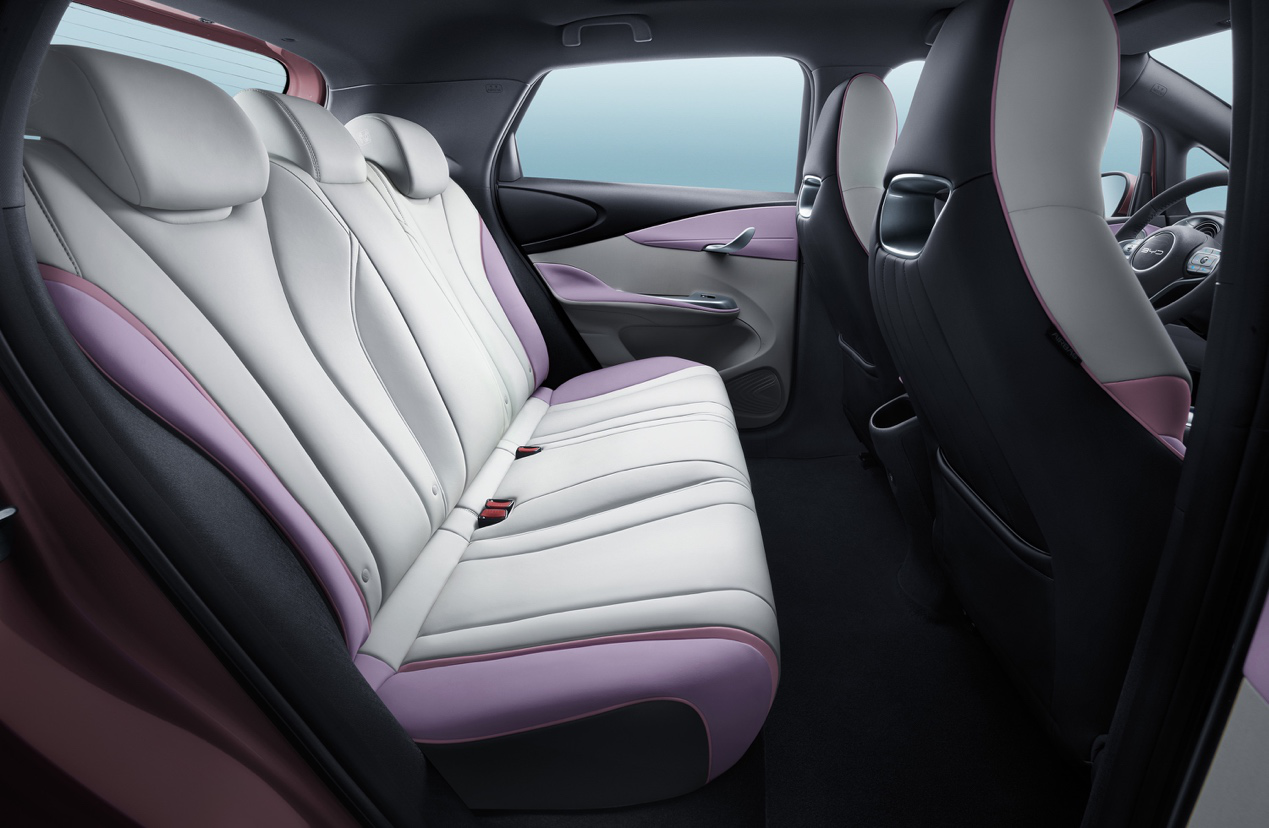 新能源汽车,比亚迪,比亚迪海豚