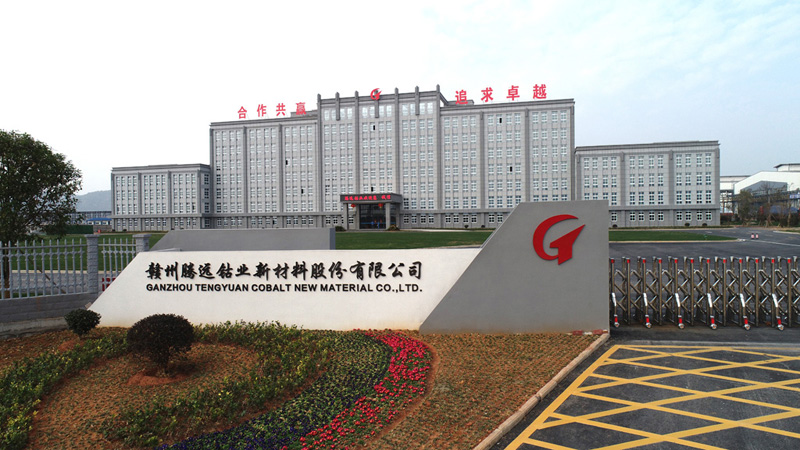 腾远钴业,钴盐,三元前驱体