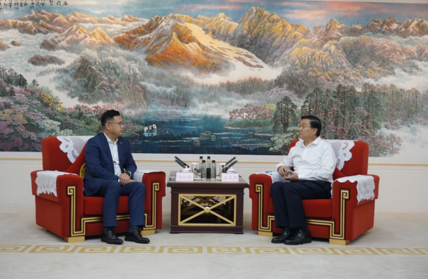 蜂巢能源,动力电池,锂电池