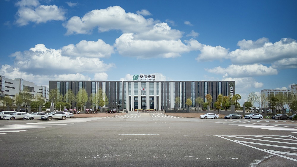 桑顿新能源科技有限公司