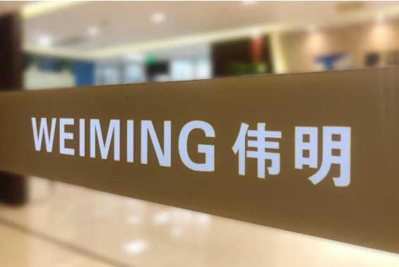 伟明环保,新能源,高冰镍 伟明环保,新能源,高冰镍