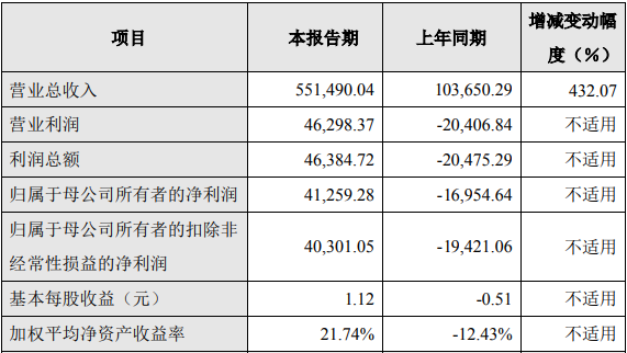 振华新材2021年度主要财务数据和指标（单位/万元）