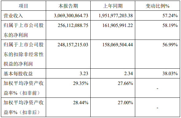 长虹能源2021年年度主要财务数据和指标（单位：元）