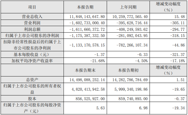 2021年度主要财务数据和指标（单位：元）