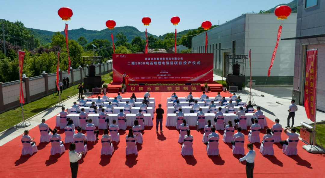 龙电华鑫 龙电华鑫