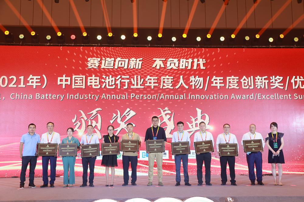 中国电池行业优秀供应商