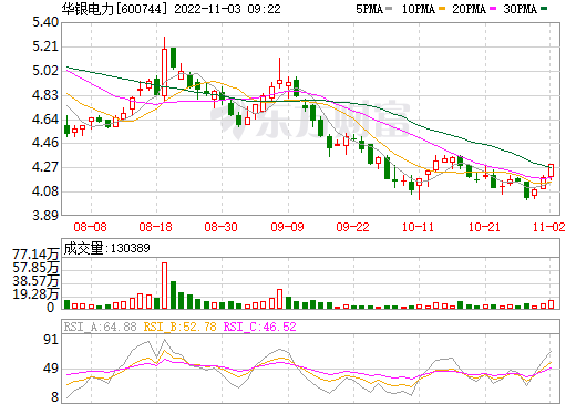 华银电力 华银电力