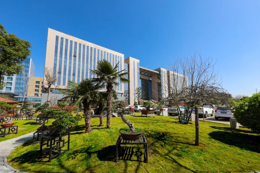 龙佰集团总部 图片来源：龙佰集团