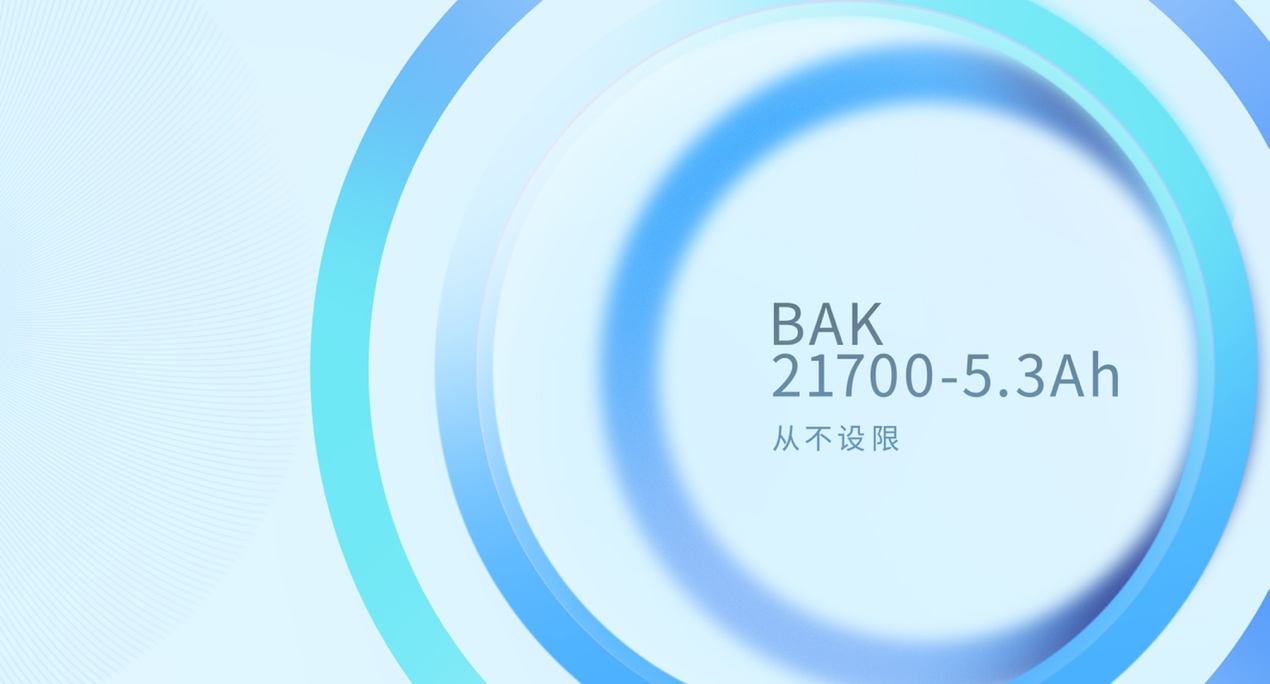 比克电池 比克电池