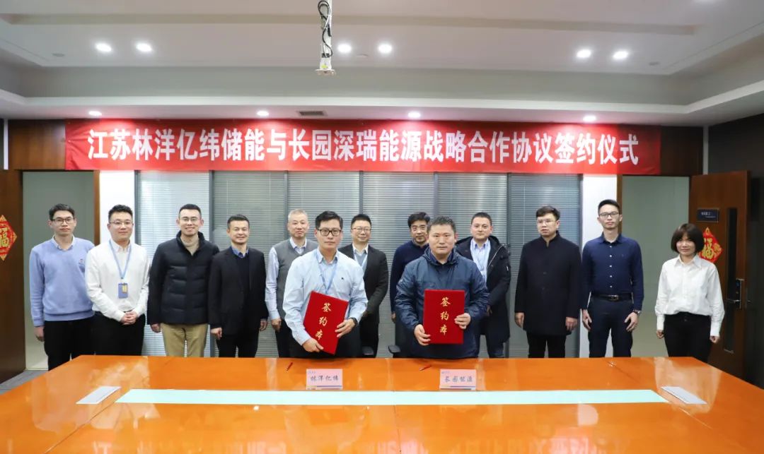 图片来源:林洋能源 图片来源:林洋能源