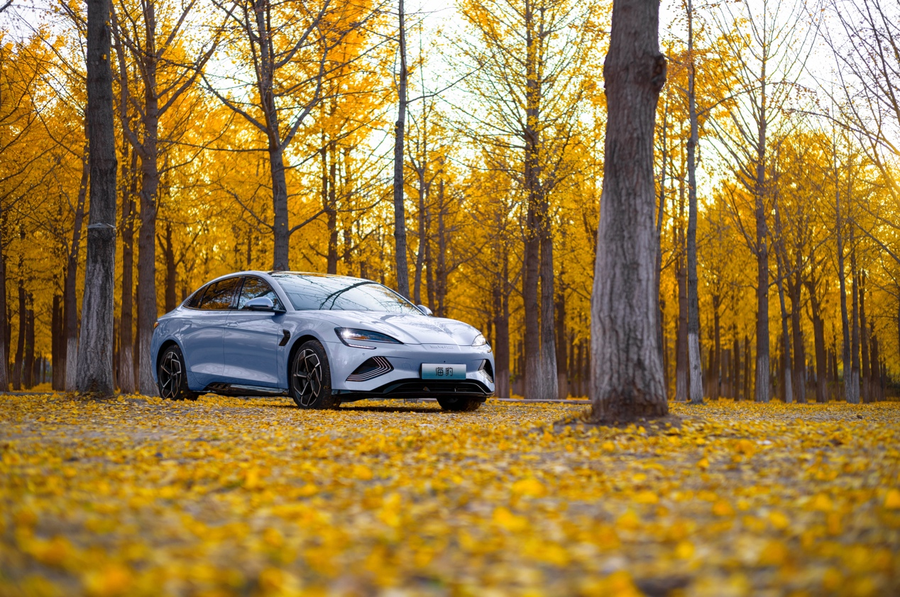 新能源汽车,电动汽车,比亚迪,海豹 新能源汽车,电动汽车,比亚迪,海豹