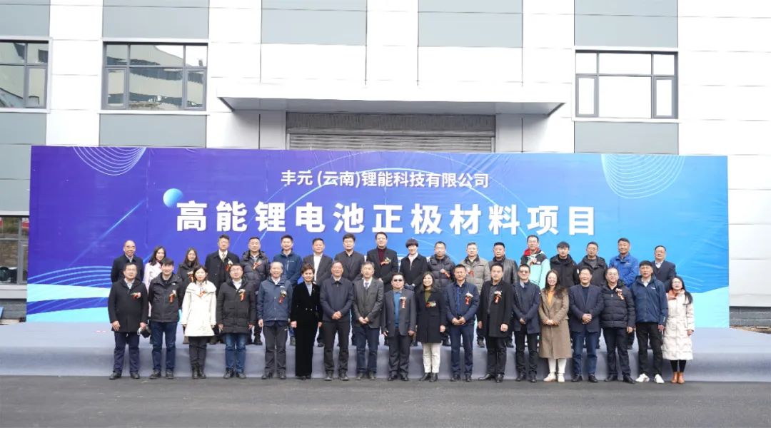 丰元股份 丰元股份