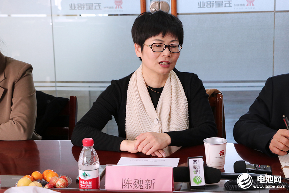 中国电池新能源产业链调研团一行参观考察五星铝业 中国电池新能源产业链调研团一行参观考察五星铝业