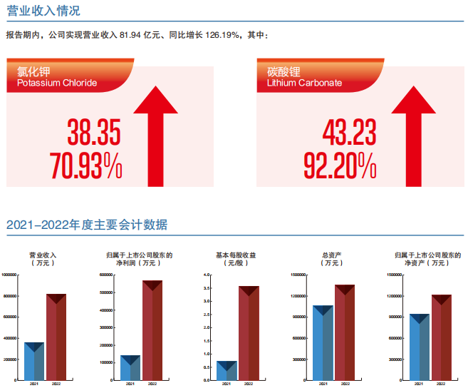 藏格矿业 藏格矿业