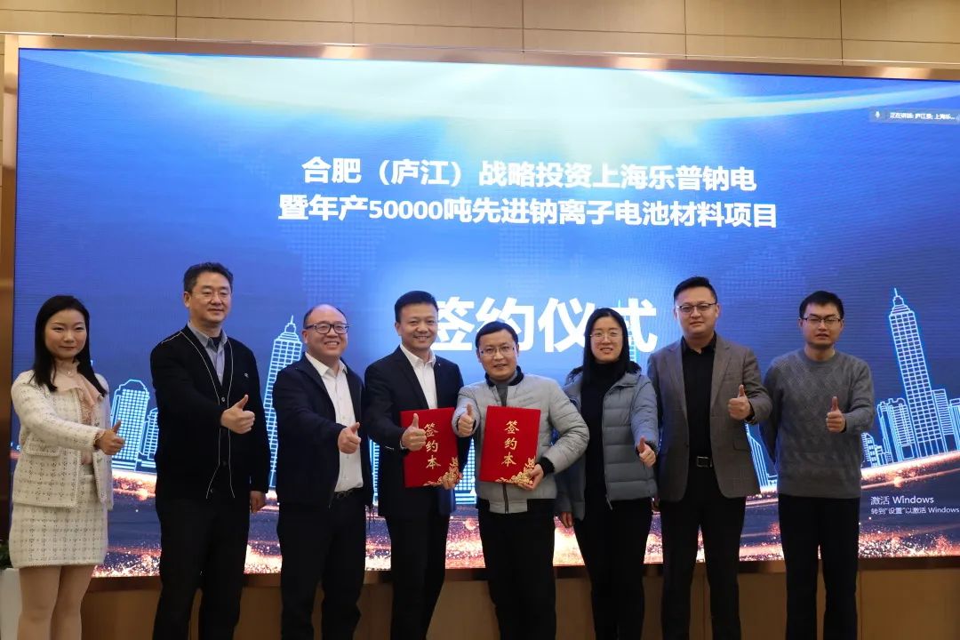 乐普钠电 乐普钠电