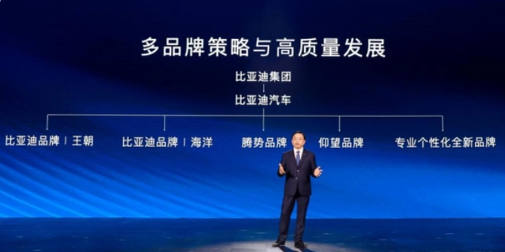 比亚迪,新能源汽车,电动汽车