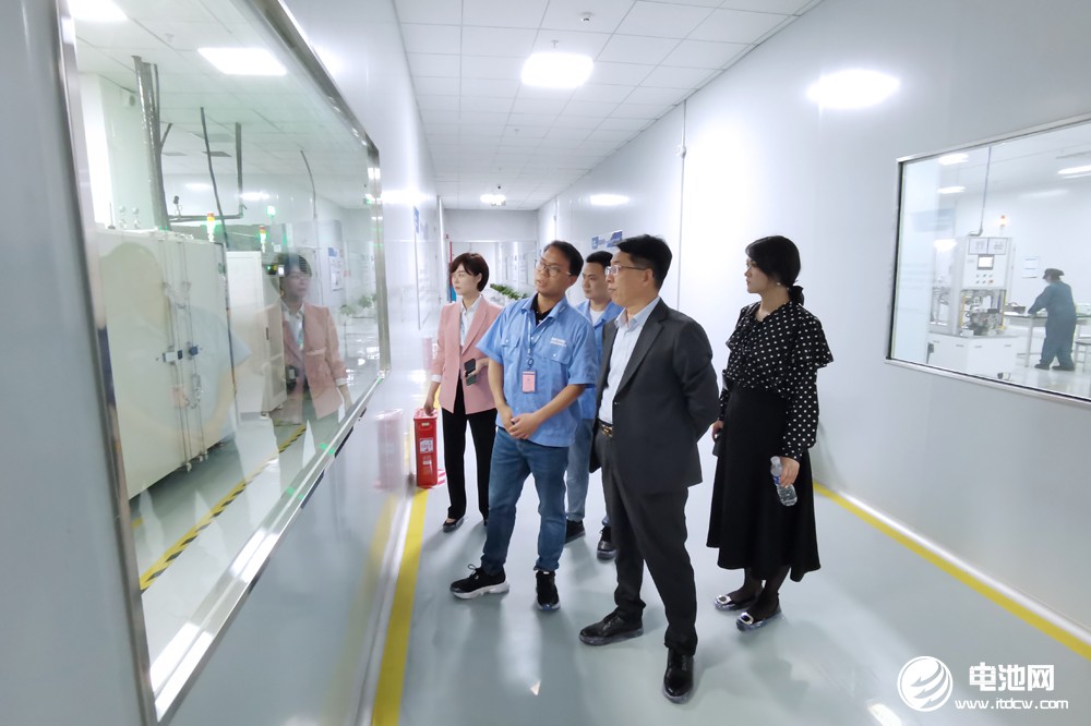 德赛电池 德赛电池