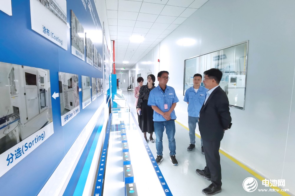 德赛电池 德赛电池