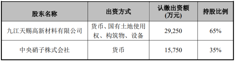 股东出资 股东出资