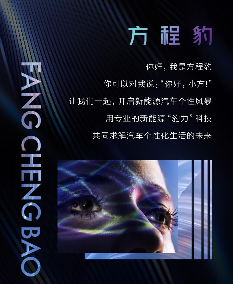 比亚迪,新能源汽车,方程豹