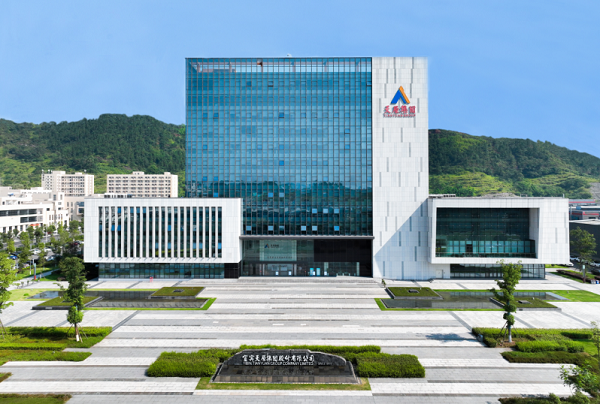 天原股份 天原股份