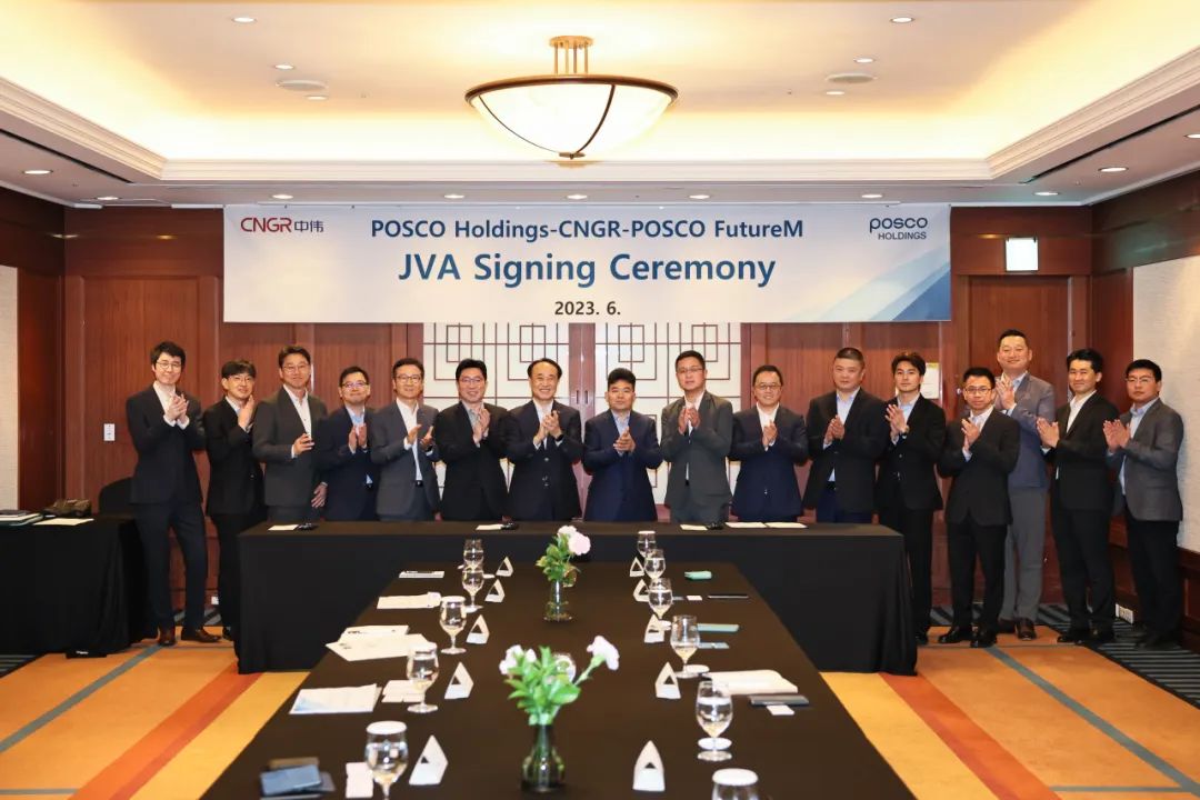 图片来源：中伟股份