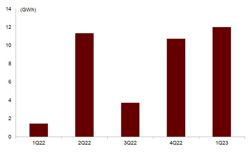 一带一路国家新增项目容量