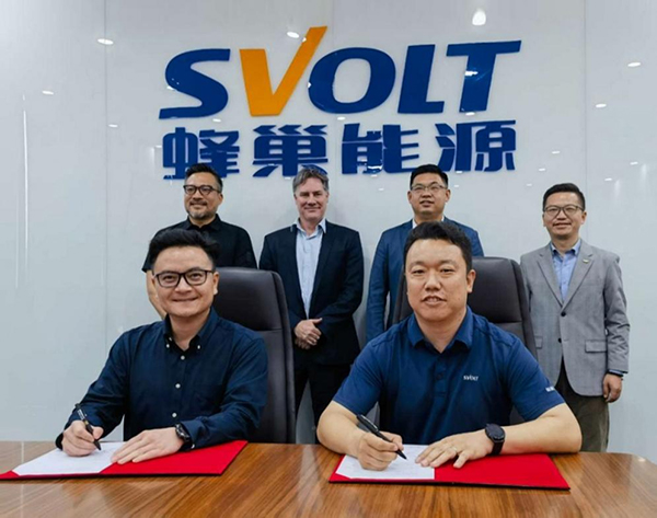 图片来源：蜂巢能源