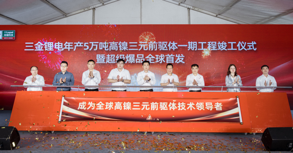 图片来源：龙蟠科技