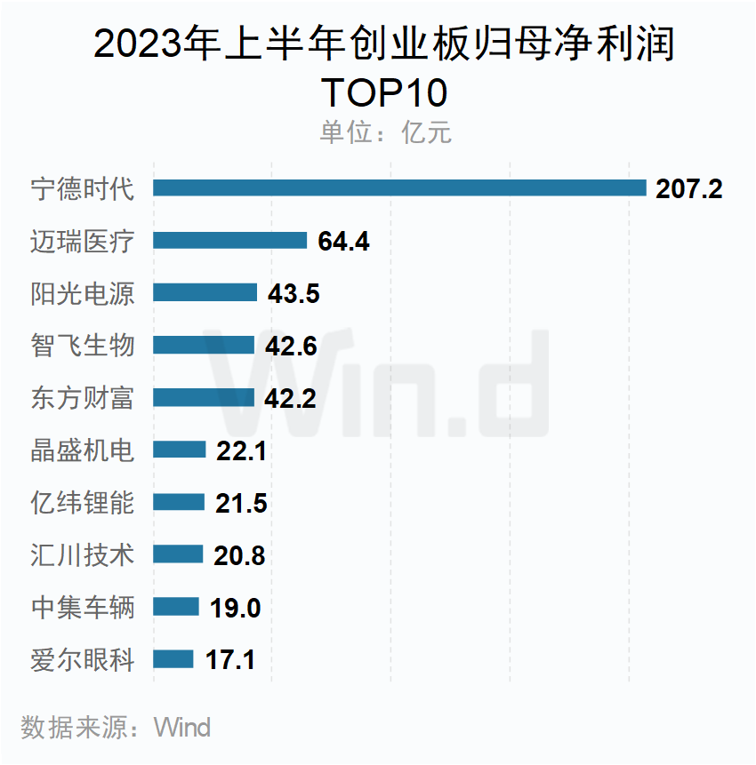 2023年上半年创业板归母净利润TOP10企业 2023年上半年创业板归母净利润TOP10企业