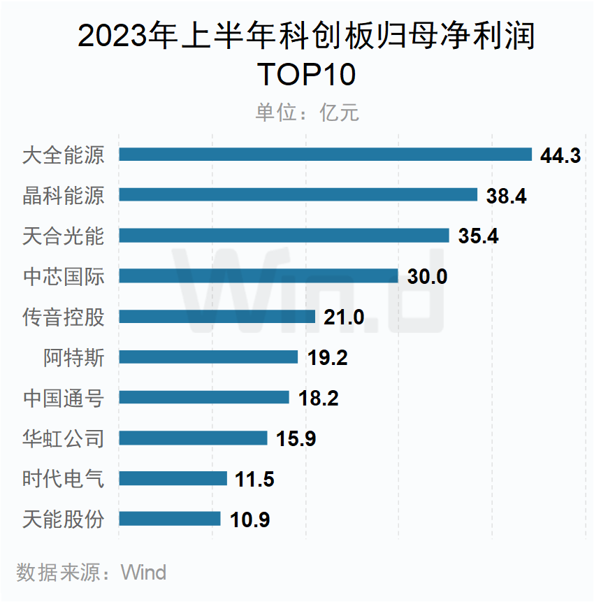 2023年上半年科创板归母净利润TOP10企业