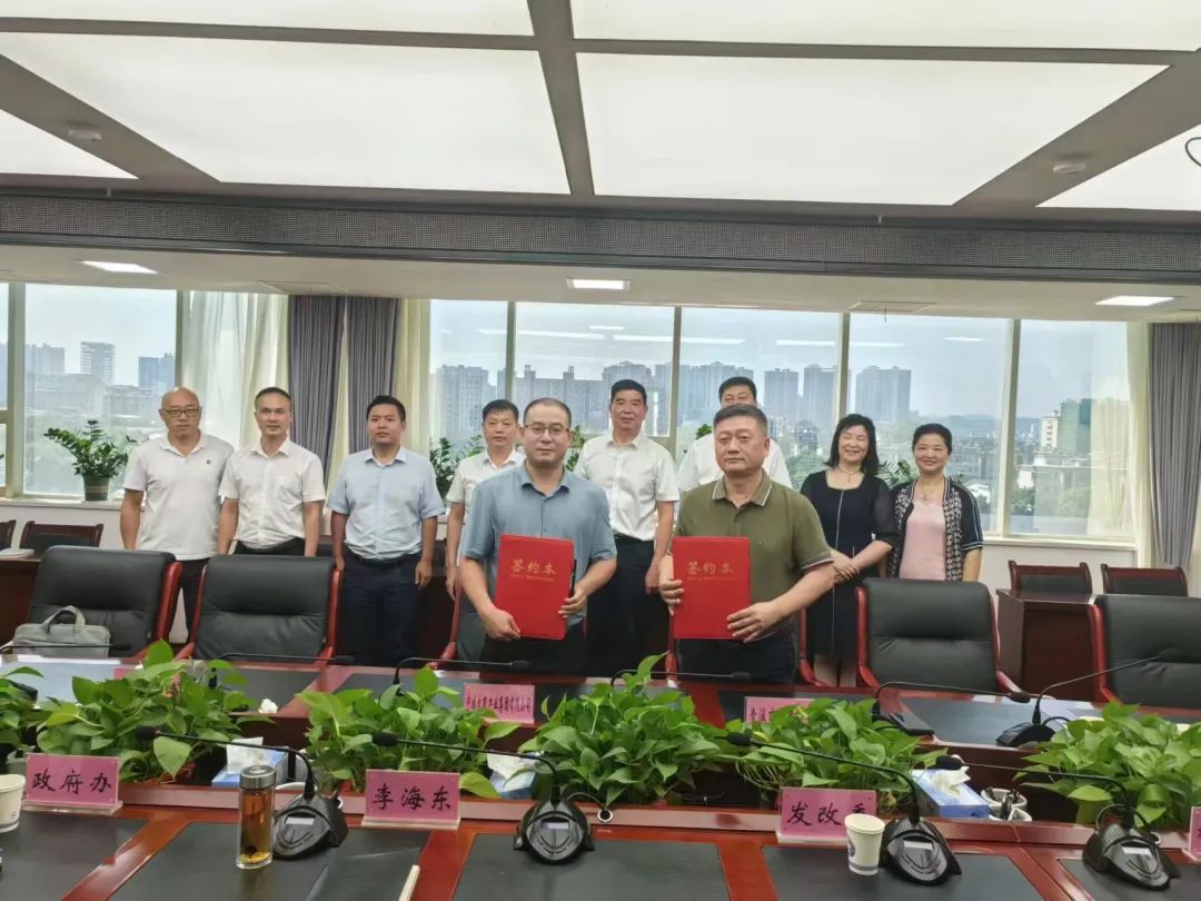 储能电站,新型储能,储能