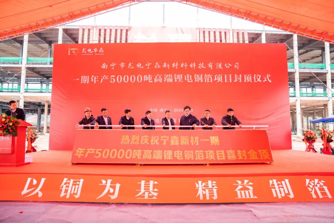 图/龙电华鑫控股集团