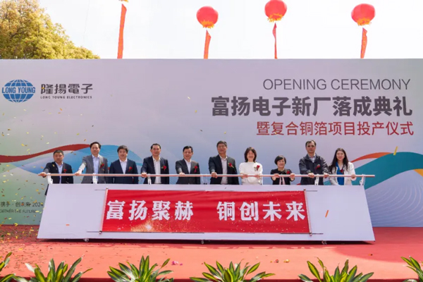 图片来源：隆扬电子