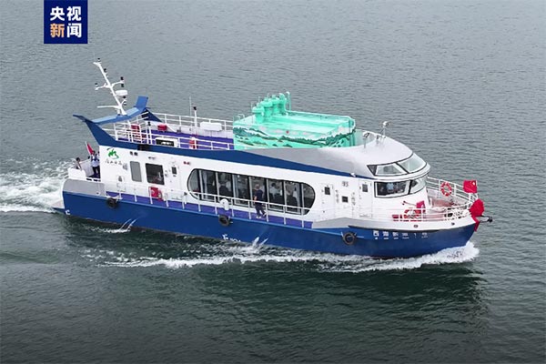 氢燃料电池,锂电池,新能源