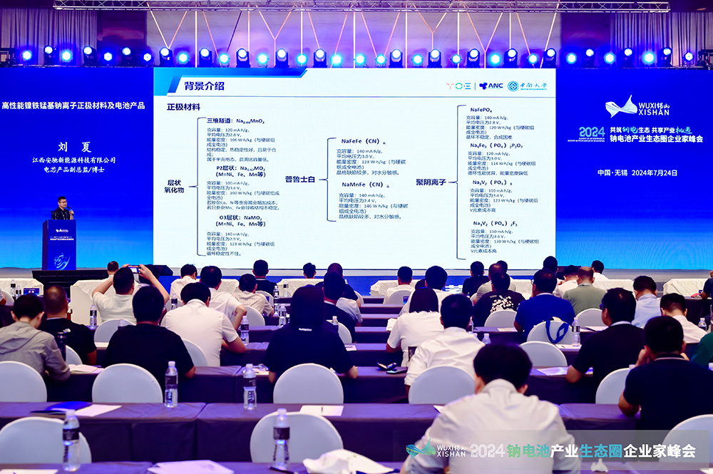 2024中国(无锡)钠电池产业生态圈企业家峰会现场 2024中国(无锡)钠电池产业生态圈企业家峰会现场