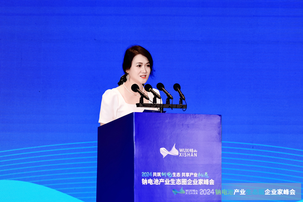 中国电池网副总裁耿茜茜