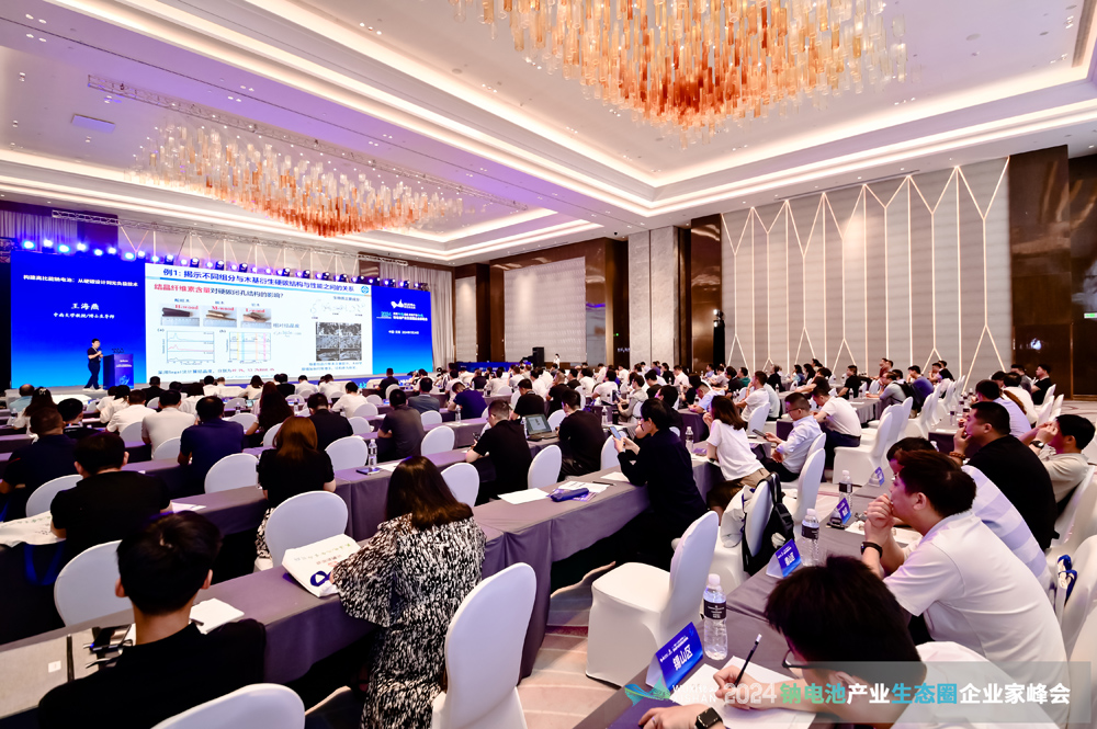2024中国(无锡)钠电池产业生态圈企业家峰会现场 2024中国(无锡)钠电池产业生态圈企业家峰会现场