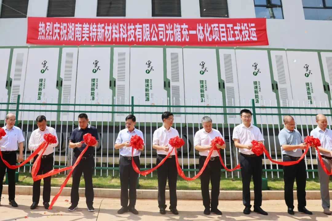 图/湖南德赛电池