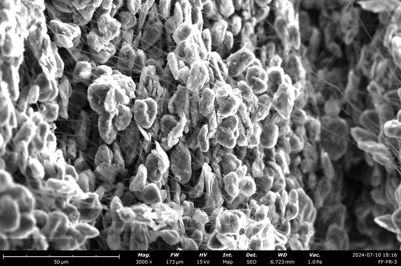 811NCM正极2%PTFE含量自支撑膜截面SEM