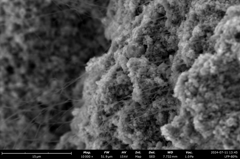 80%固含量LFP双螺杆挤出膜截面