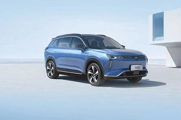 图片来源：威马汽车