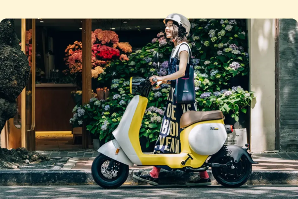 图片来源：九号公司