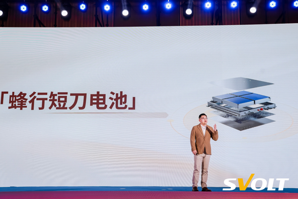 蜂巢能源,动力电池,锂电池,储能电池 蜂巢能源,动力电池,锂电池,储能电池