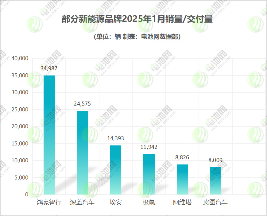 部分新能源品牌销量