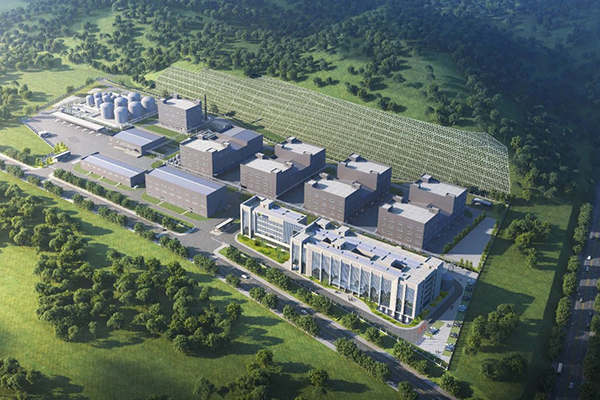 图片来源：大亚湾发布