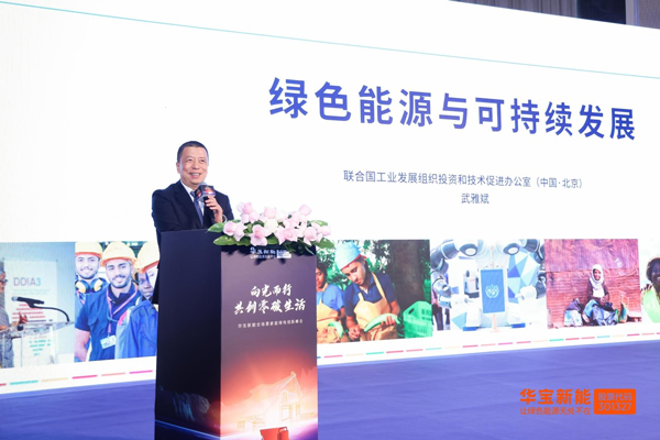 联合国工业发展组织投资与技术促进办公室（中国·北京）主任武雅斌